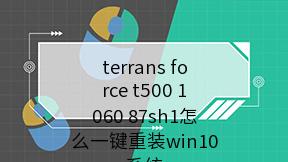 terrans force t500 1060 87sh1怎么一键重装win10系统