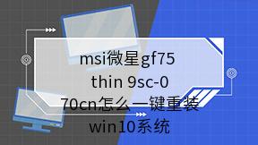 msi微星gf75 thin 9sc-070cn怎么一键重装win10系统