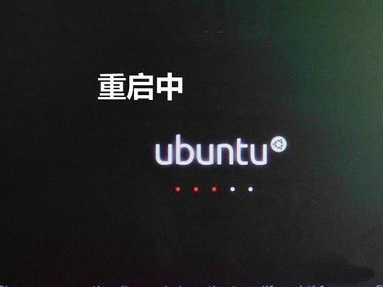 笔记本开机黑屏 怎么用u盘安装ubuntu(15)