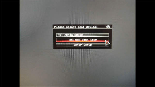 Terrans Force  DR5 1050TI 87SH1怎么装win10系统(7)